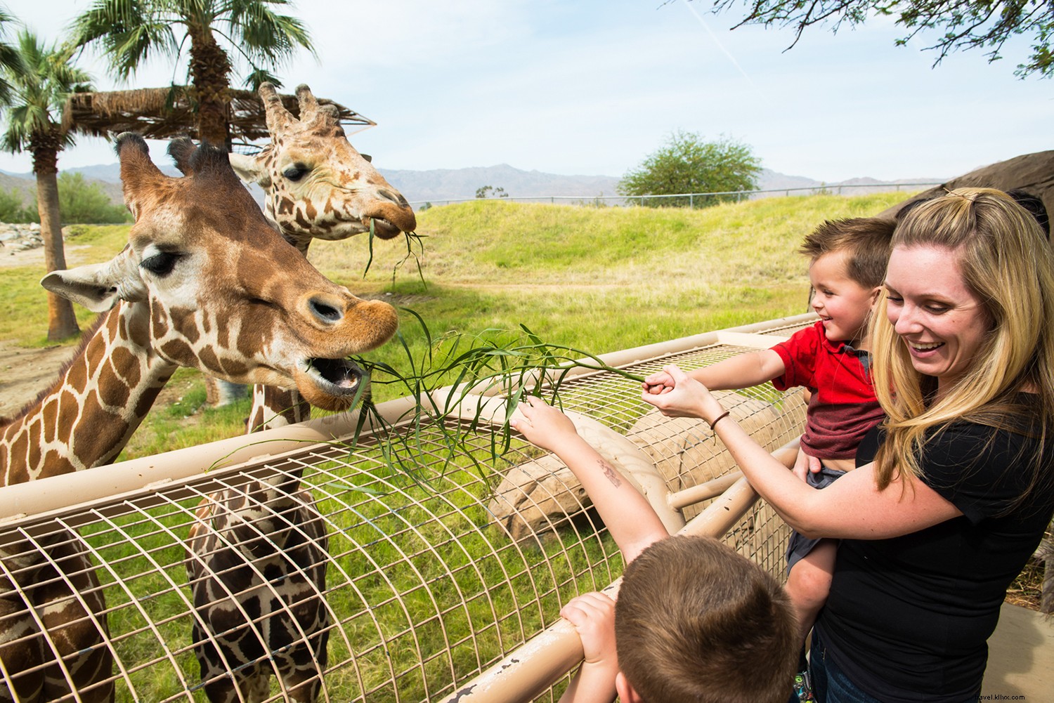 Ultimate Summer Guide: Relax and Recharge in Greater Palm Springs